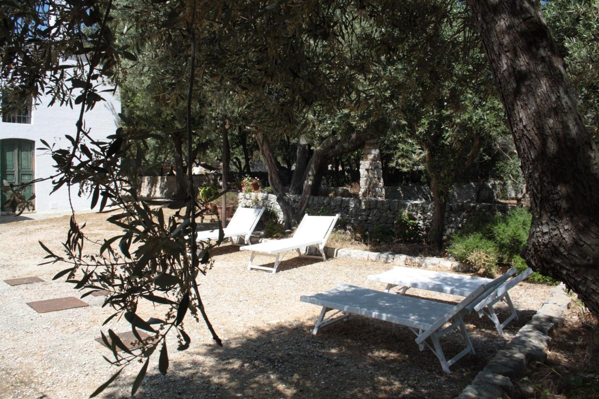 Masseria Trotta B&B Fasano Eksteriør bilde